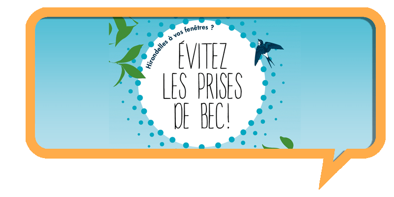 Des créations adaptées à votre public
